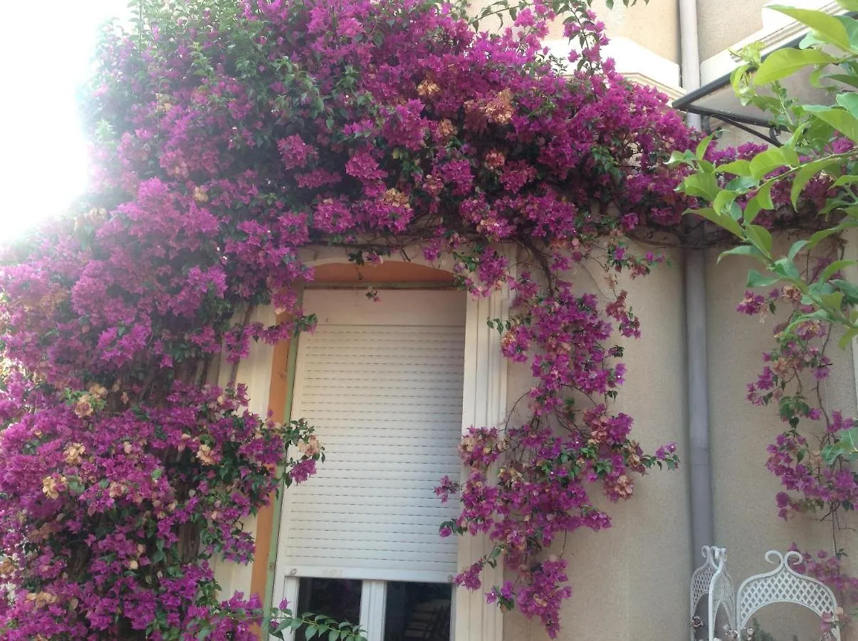 A L'Ombre Du Cedre Guest House Hyeres 2*,  France