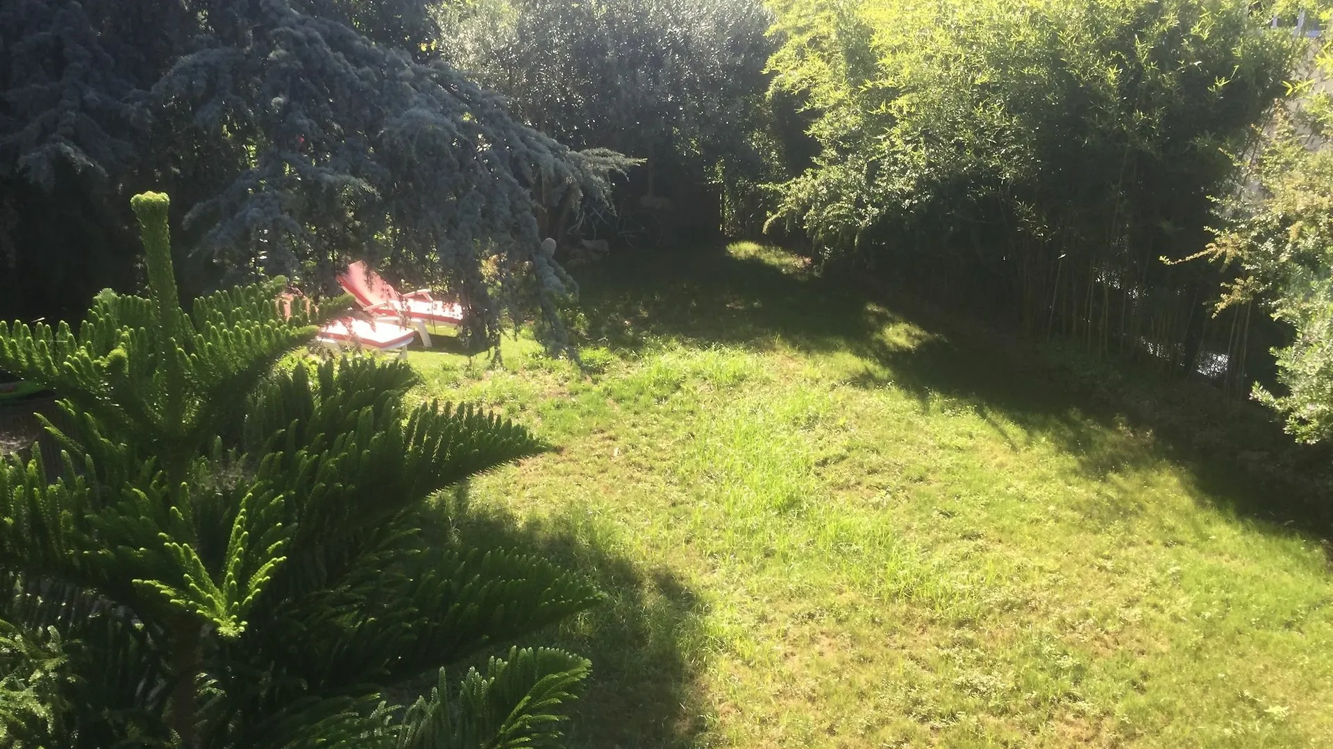 A L'Ombre Du Cedre Guest House Hyeres France