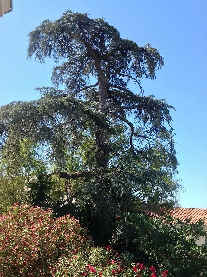 A L'Ombre Du Cedre Guest House Hyeres