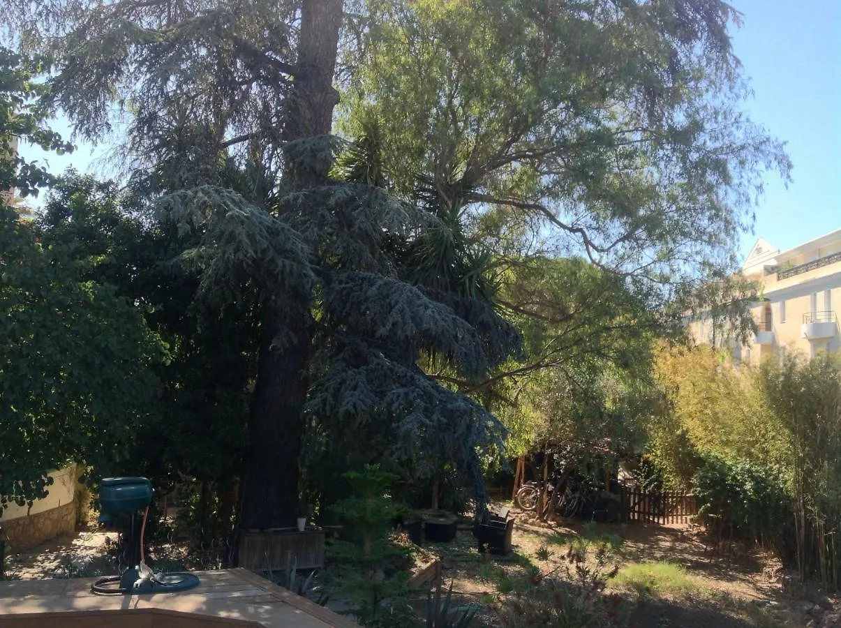 A L'Ombre Du Cedre Guest House Hyeres 2*,  France